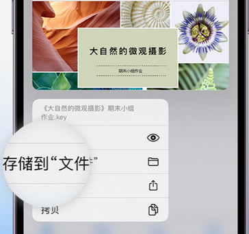 新邵apple维修中心分享iPhone文件应用中存储和找到下载文件