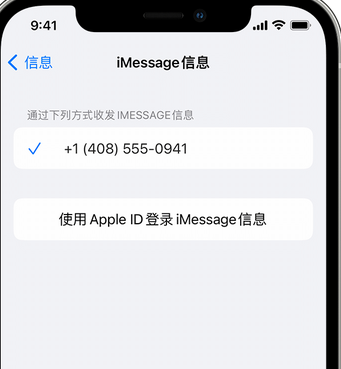 新邵apple维修iPhone上无法正常发送iMessage信息 