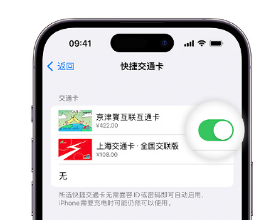 新邵apple维修点分享iPhone上更换Apple Pay快捷交通卡手绘卡面 