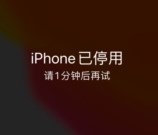 新邵苹果手机维修分享:iPhone 显示“不可用”或“已停用”怎么办？还能保留数据吗？ 