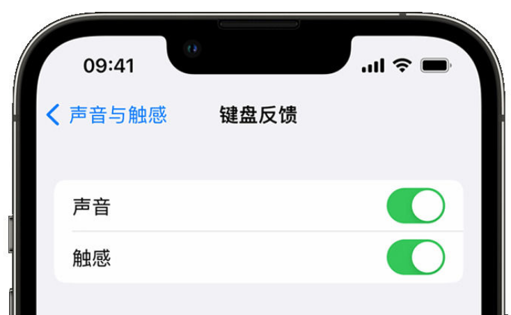 新邵苹果手机维修分享iPhone 14触感键盘使用方法 