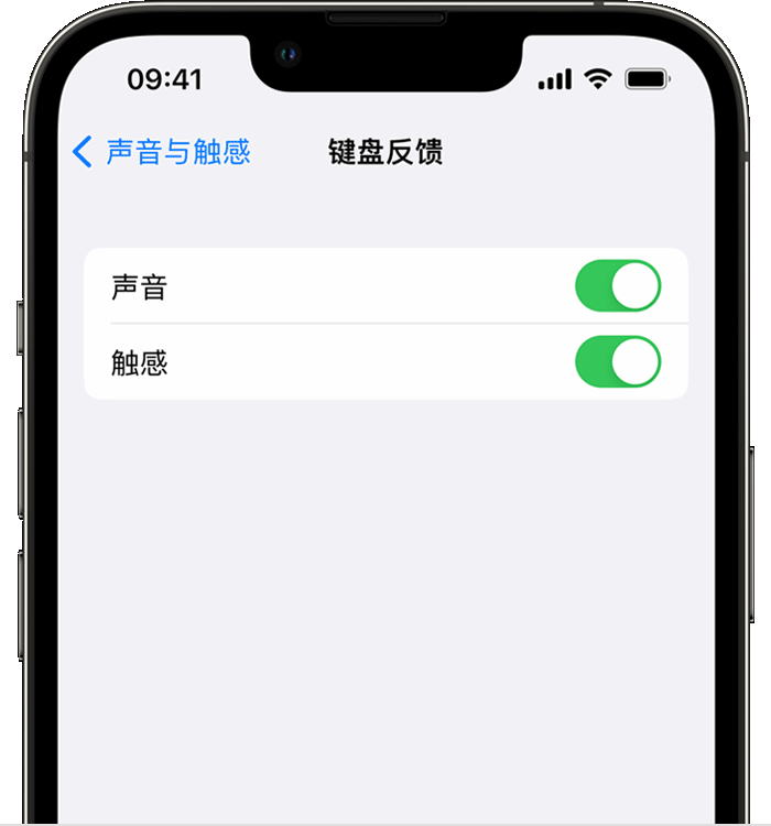 新邵苹果14维修店分享如何在 iPhone 14 机型中使用触感键盘 