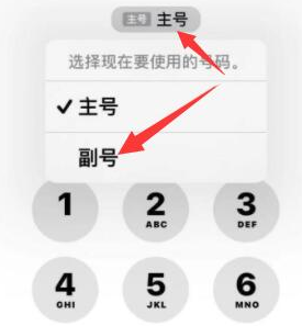 新邵苹果14维修店分享iPhone 14 Pro Max使用副卡打电话的方法 