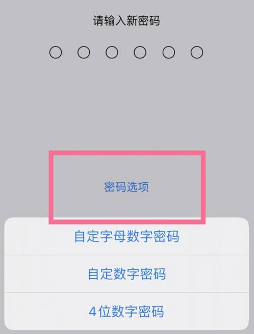 新邵苹果14维修分享iPhone 14plus设置密码的方法 