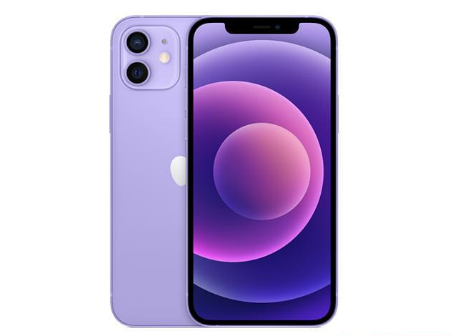 新邵苹果手机维修分享现阶段要不要入手紫色版iPhone12 