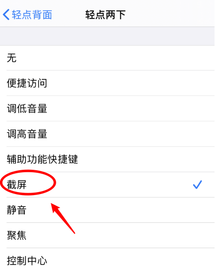新邵苹果手机维修分享iPhone12如何启用双击截屏 